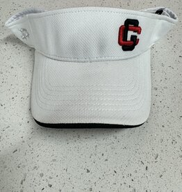 Everett Visor