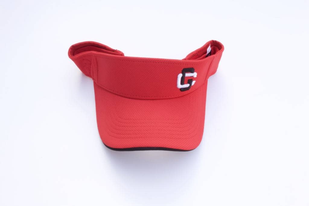 Everett Visor
