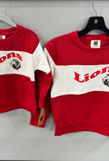 Wes & Willy Toddler/Youth Color Block Sweatshirt