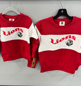 Wes & Willy Toddler/Youth Color Block Sweatshirt