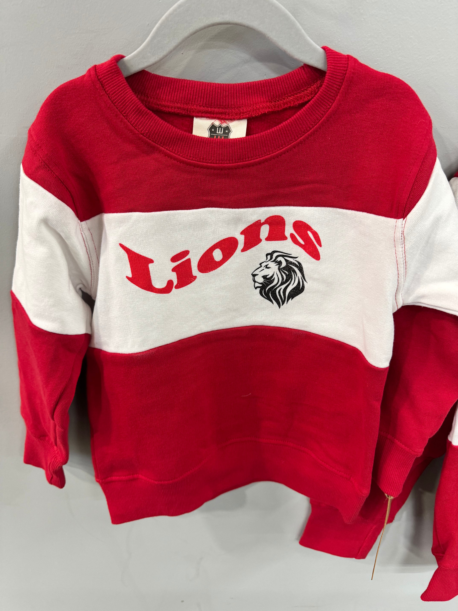 Wes & Willy Toddler/Youth Color Block Sweatshirt
