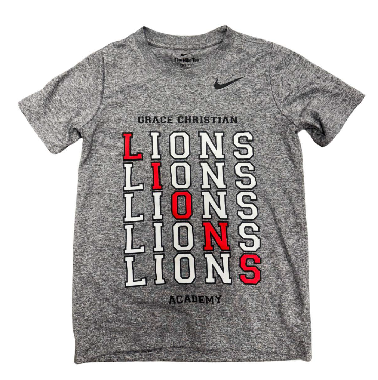 Nike Youth Gray Diagonal LIONS SS Tee