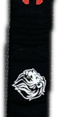 Eliza B GCA Ribbon Black Belt