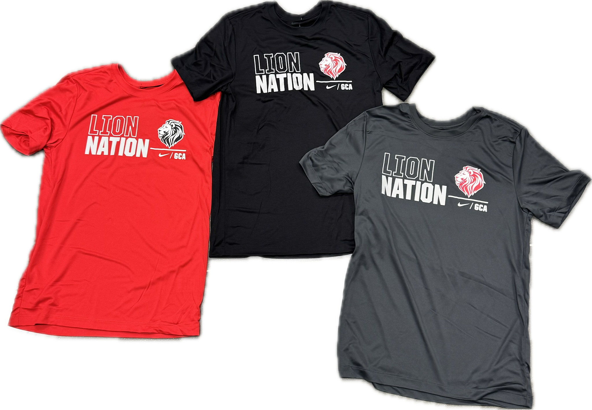 Nike Men's Lions Nation SS Tee
