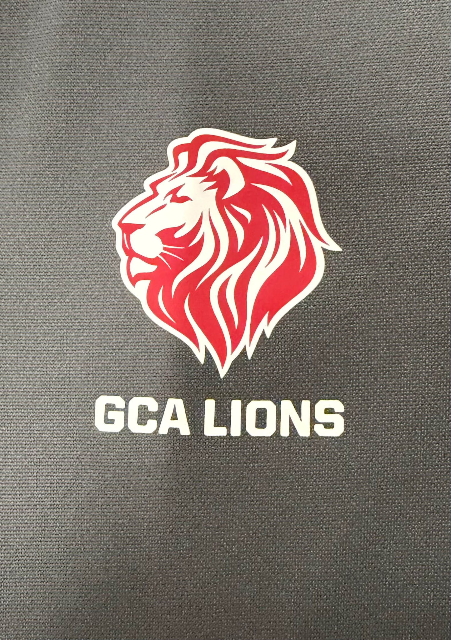 Nike Boy's GCA LIONS Therma 1/4 Zip
