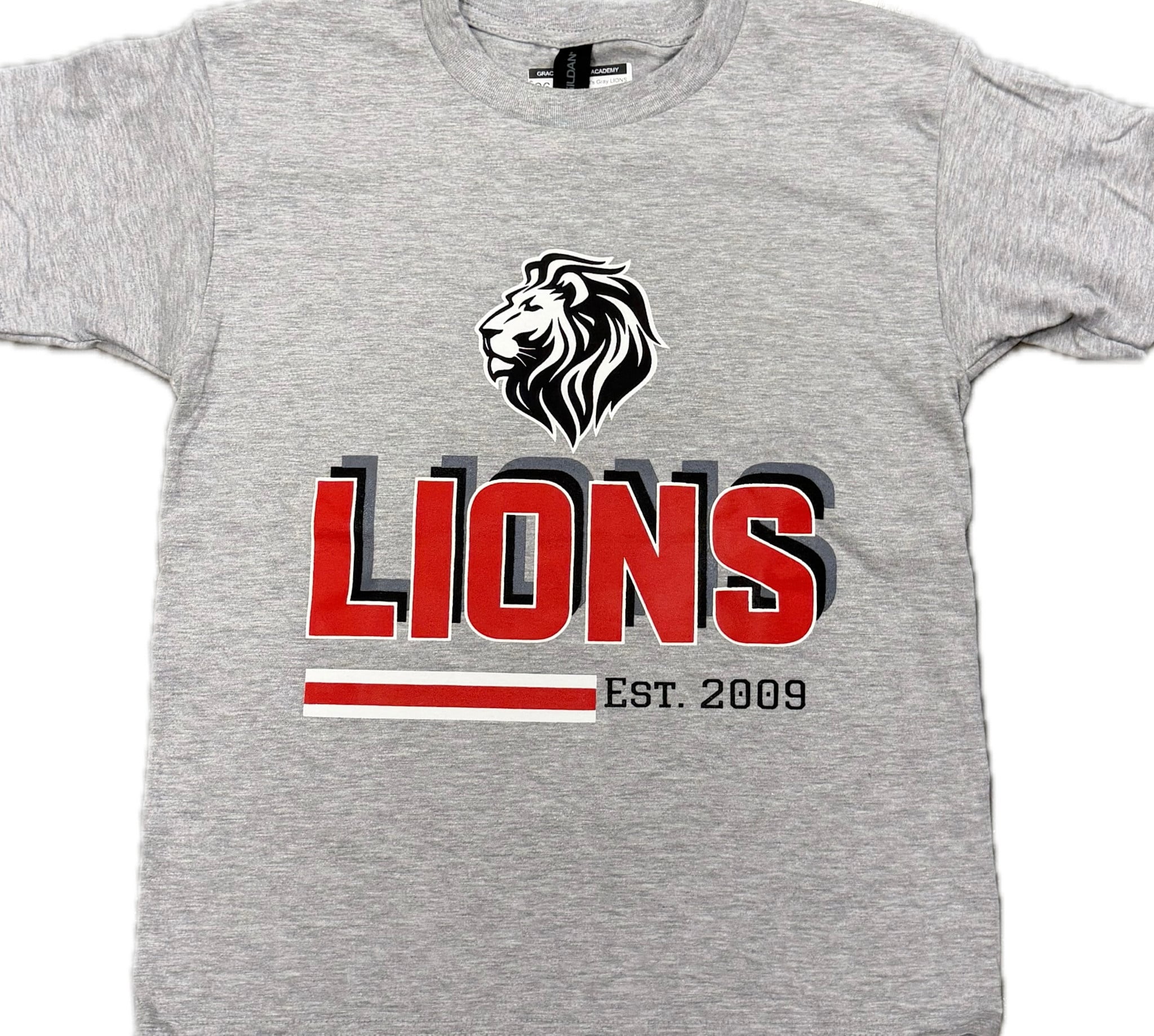 Gildan Kid's Gray LIONS SS Tee