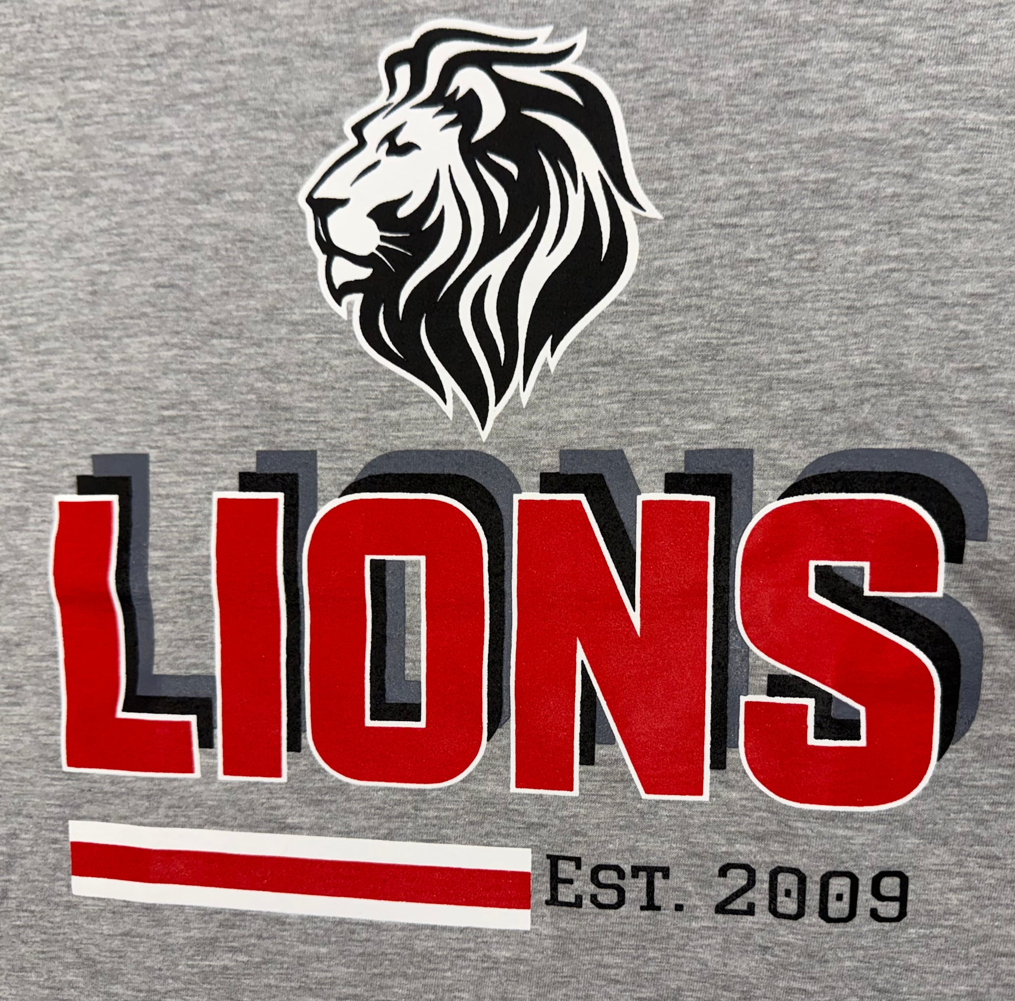 Gildan Kid's Gray LIONS SS Tee