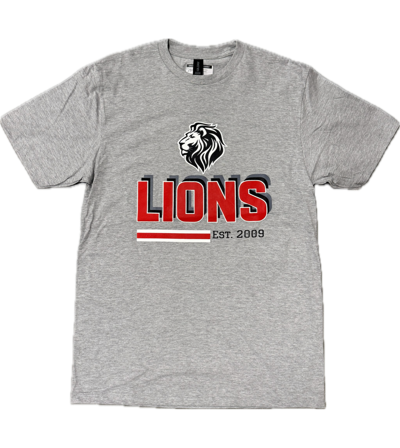 Gildan Men's Gray LIONS SS Tee