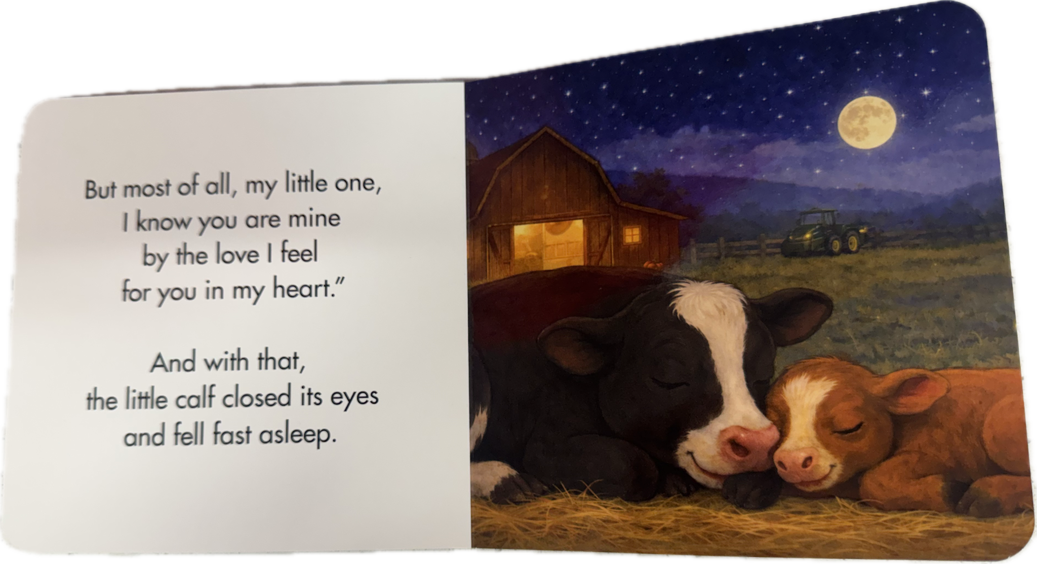 Children's Book "You Are Mine"