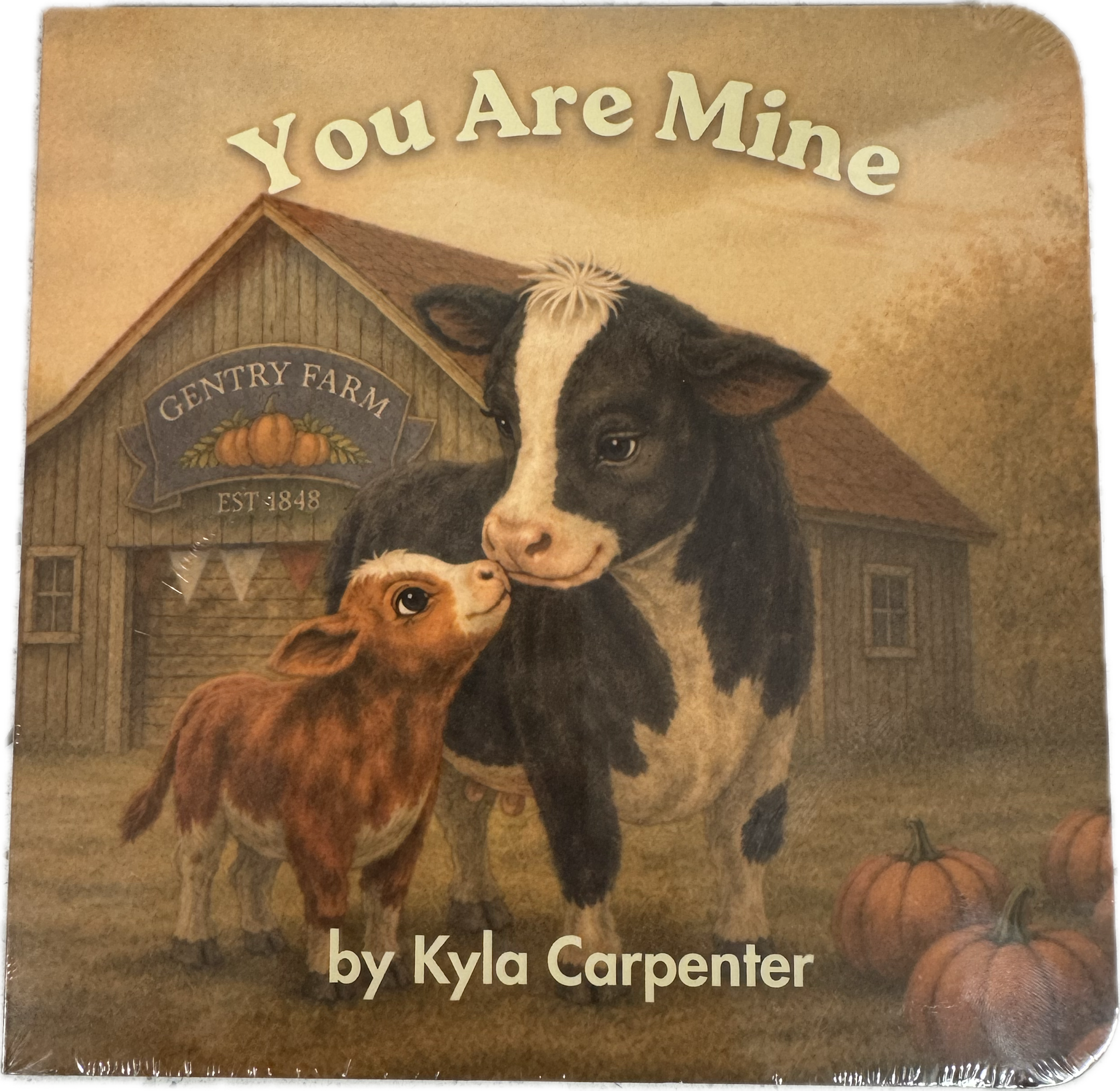 Children's Book "You Are Mine"