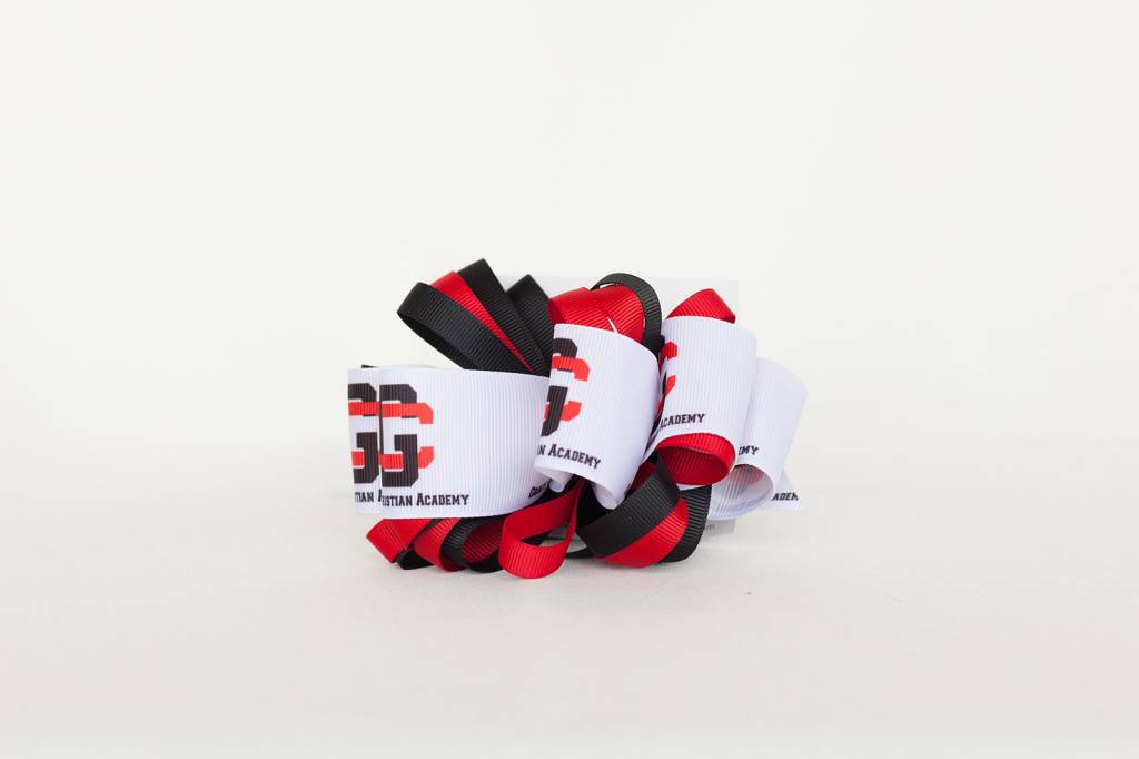 Gca Multi Loop Hair Accessory Grace Christian Spirit Store