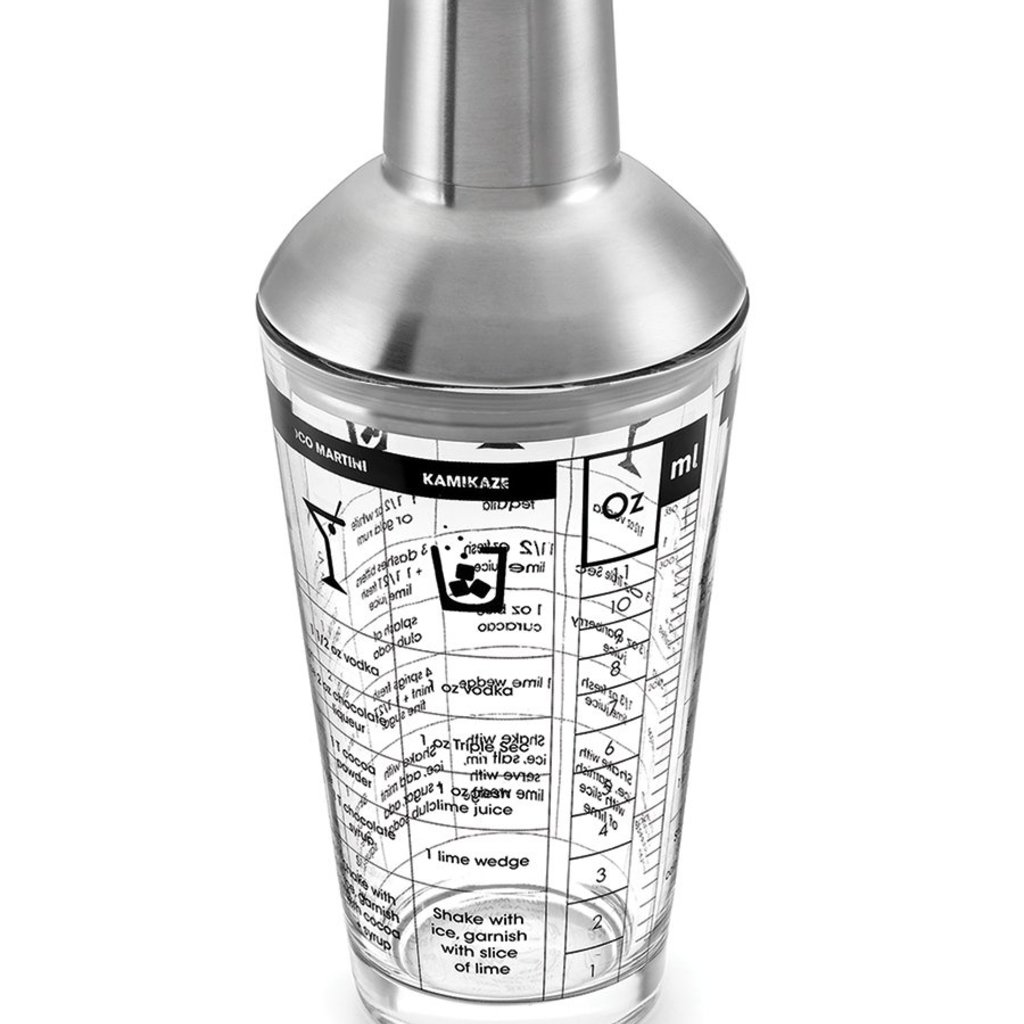 Glass & Stainless-Steel Cocktail Shaker
