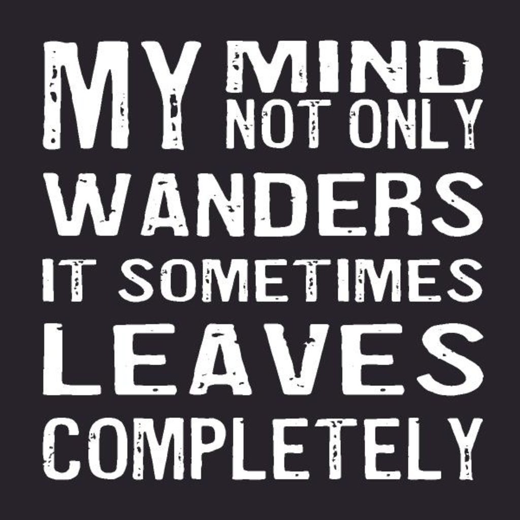 Cedar Mountain Coaster - My Mind Not Only Wanders*