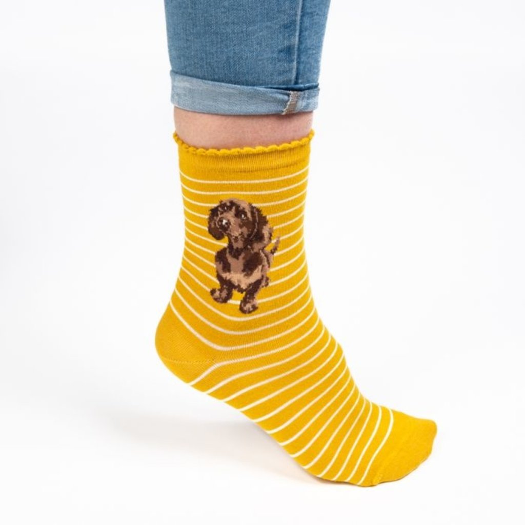 Wrendale Designs 'Little One' Socks Dachshund - Mustard