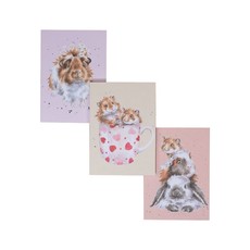 Wrendale Designs 'Whiskers & Paws'  Set of 3 Notebooks