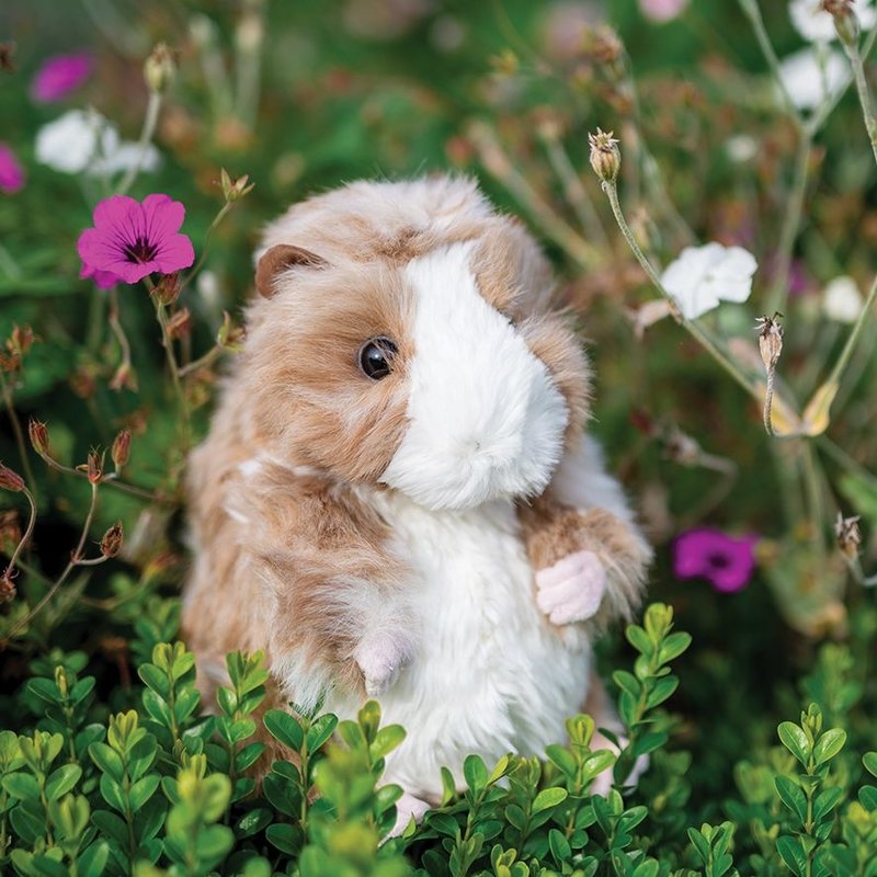 Wrendale Designs 'Daphne' Guinea Pig Character