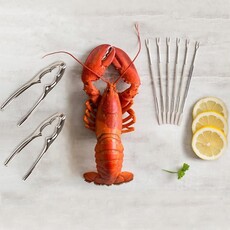 Danesco Seafood Tool Set -  8pc  SSteel
