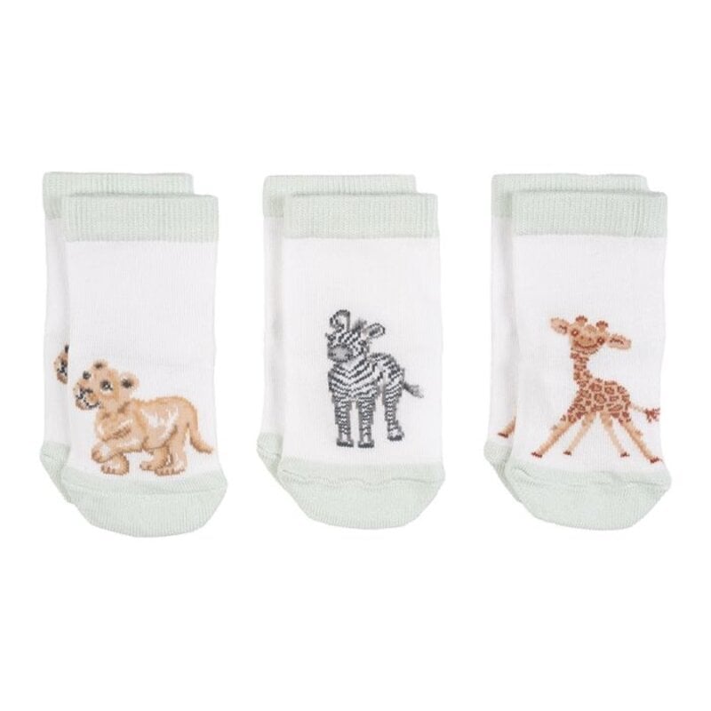 Wrendale Designs Little Savannah Baby Socks 0-6M - Set of 3