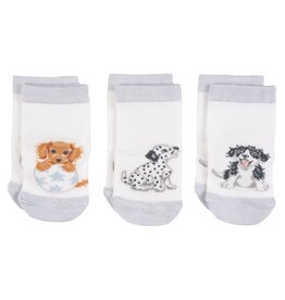 Wrendale Designs Little Paws Baby Socks 0-6M - Set of 3