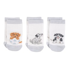 Wrendale Designs Little Paws Baby Socks 6-12M - Set of 3