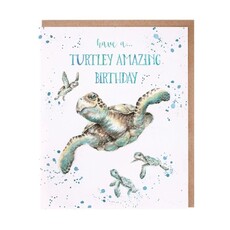 Wrendale Designs 'Turtley Amazing' Birthday Card
