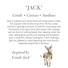 Wrendale Designs 'Jack' Large Plush