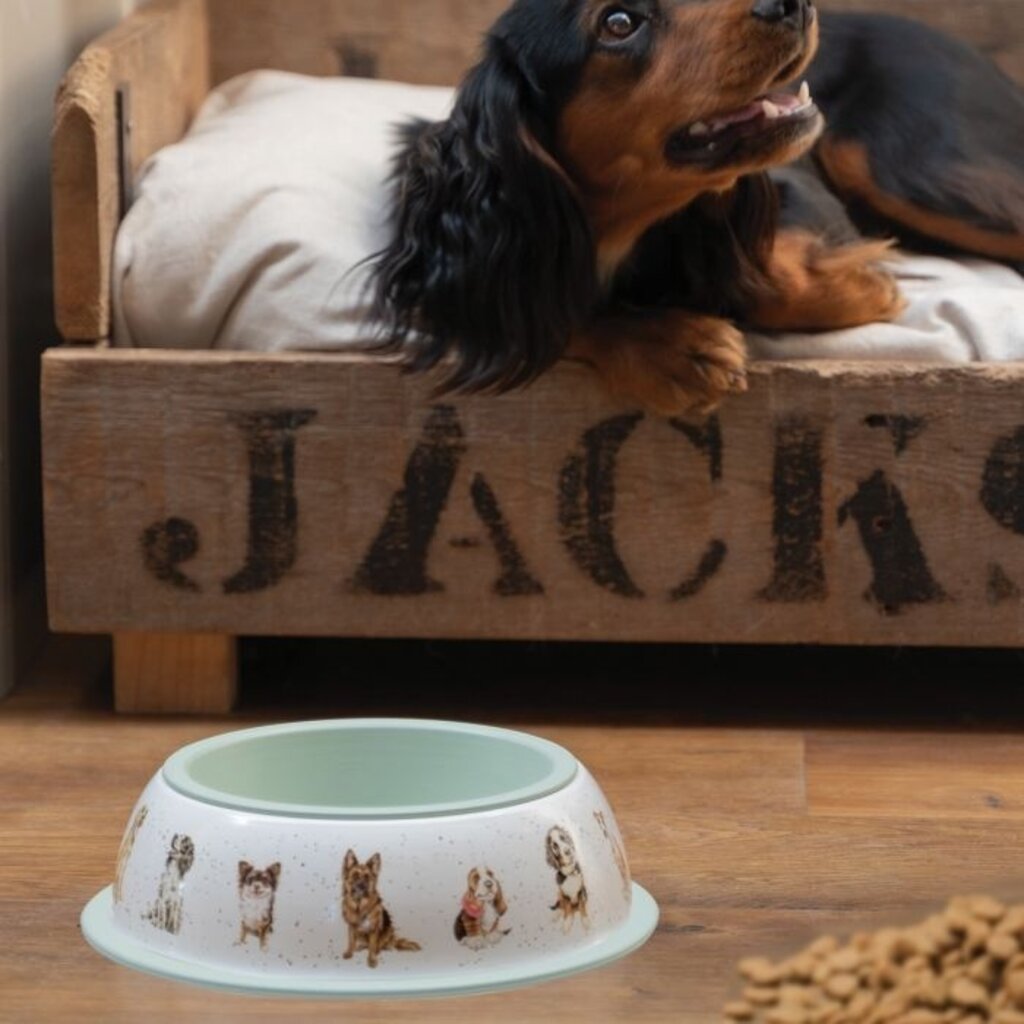 Wrendale Designs Dog Bowl 'A Dog's Life'