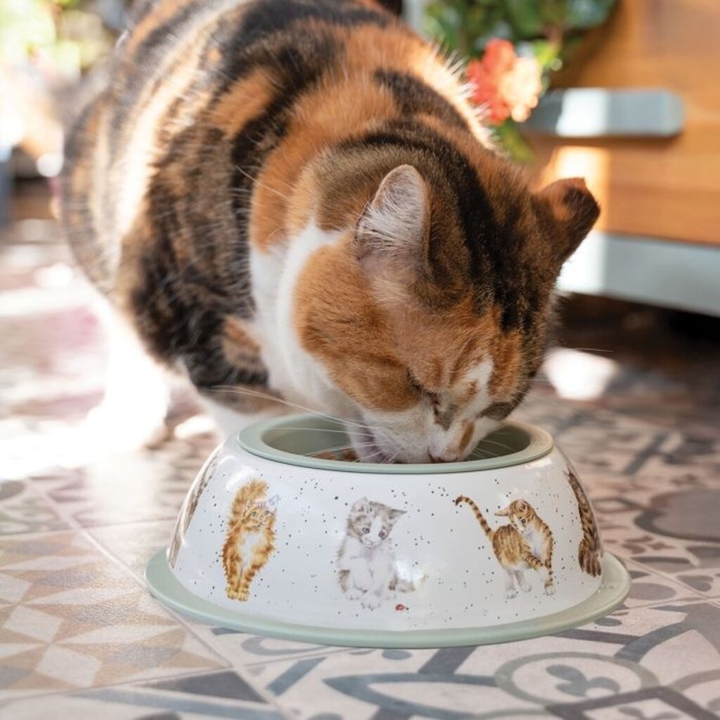 Wrendale Designs Cat Bowl 'Feline Friends'