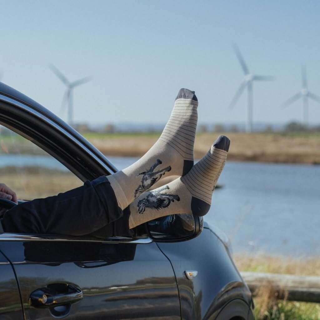 Wrendale Designs Men's Socks - 'Walkies' - Black Labrador