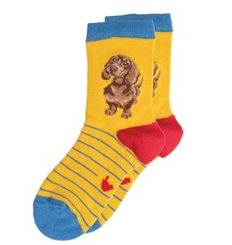 Wrendale Designs Medium Children's Socks - 'Little One'  4-7 Years Dachshund