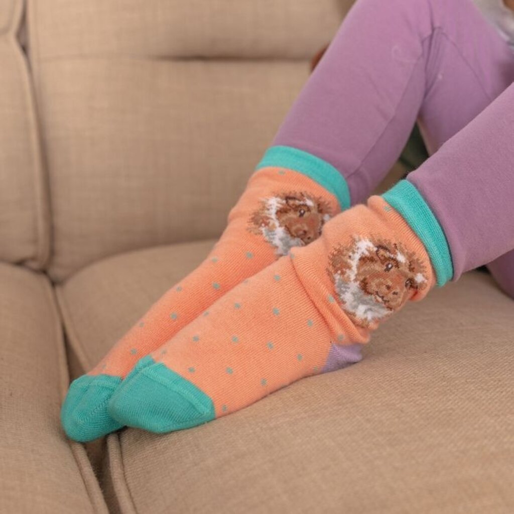 Wrendale Designs Small Children's Socks - 'Grinny Pig' 2-4 Years