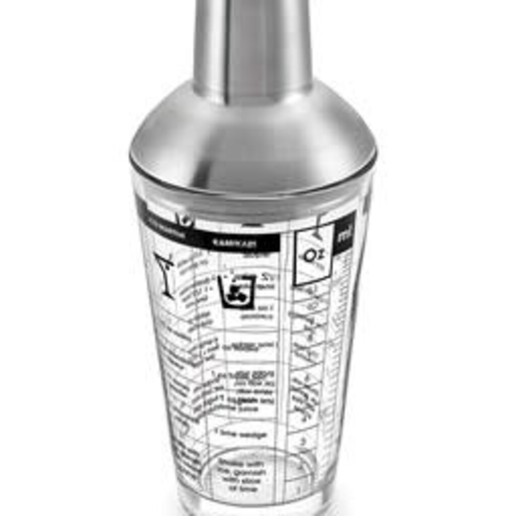 Glass & Stainless-Steel Cocktail Shaker