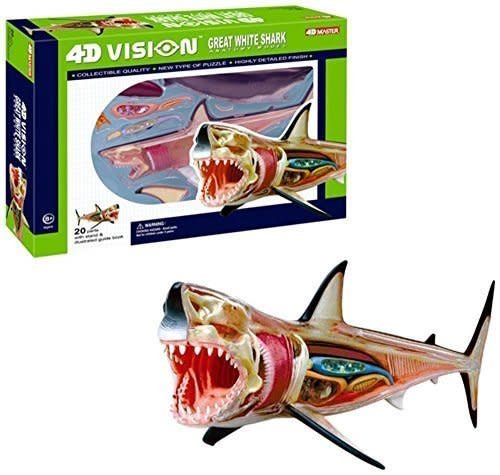 4d-vision-great-white-shark.jpg