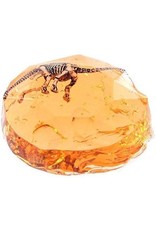 Dinosaur Fossil Putty