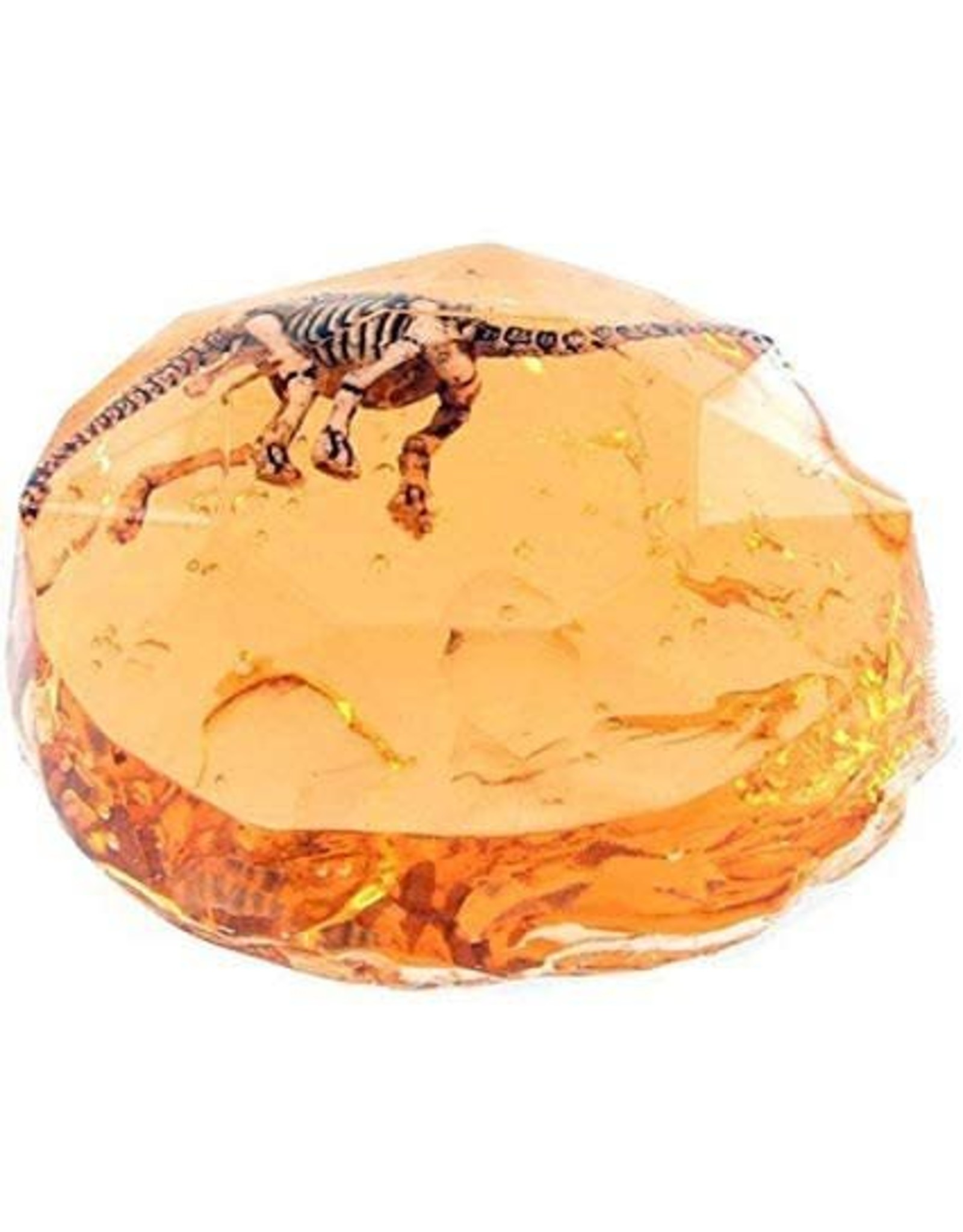 Dinosaur Fossil Putty