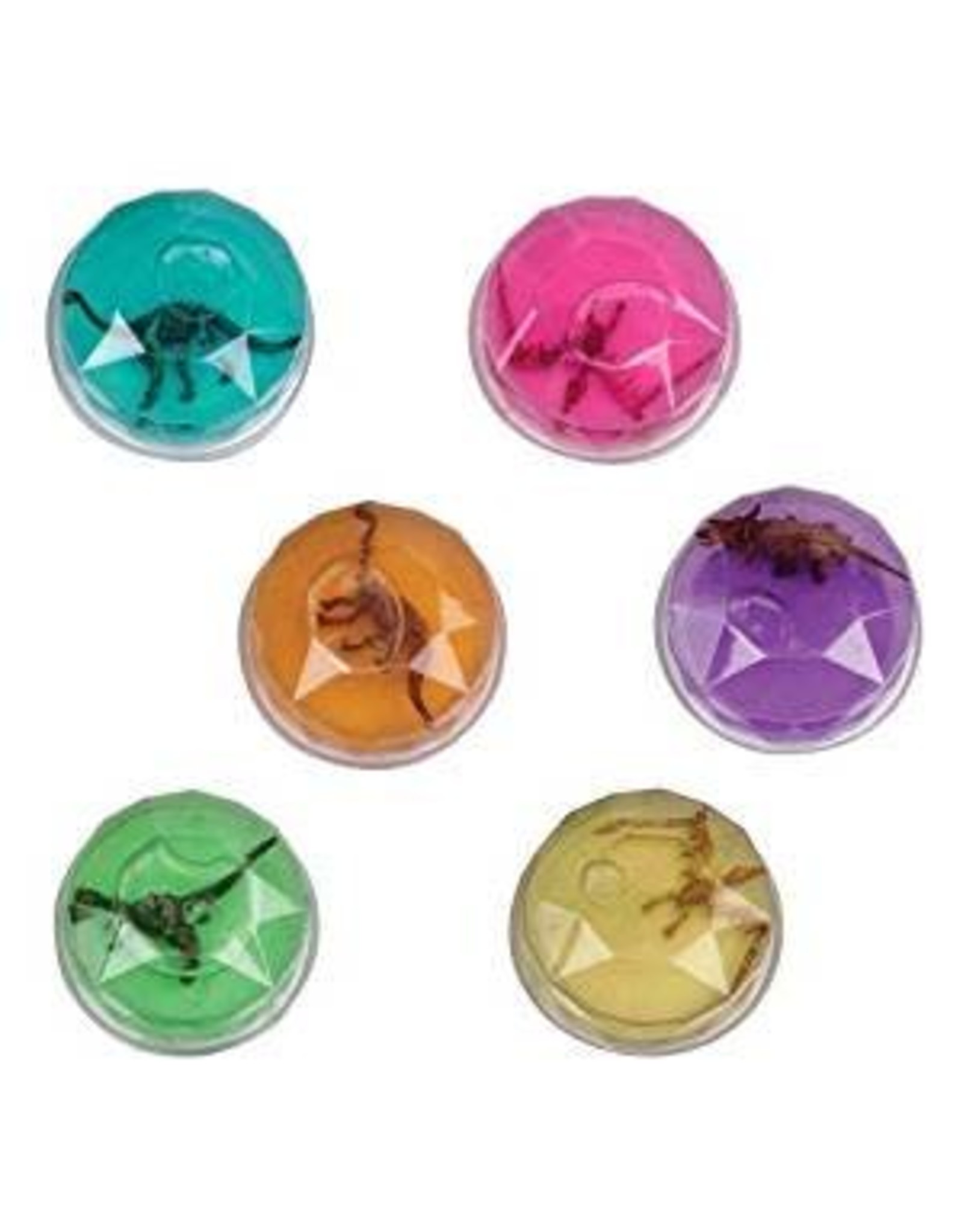 Dinosaur Fossil Putty