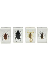 Celestron Celestron 3D Bug Specimen Kit #1(Limited Quantities)