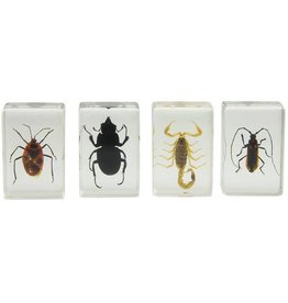 Celestron Celestron 3D Bug Specimen Kit #1(Limited Quantities)