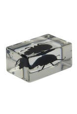 Celestron Celestron 3D Bug Specimen Kit #1(Limited Quantities)