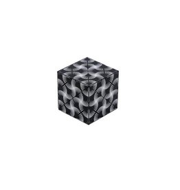 Shashibo Shape Shifting Box (Black & White)