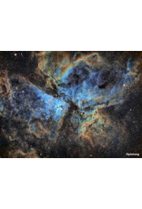 Optolong Optolong OIII 6.5nm 31mm Unmounted #11503 [LIMITED QUANTITIES]