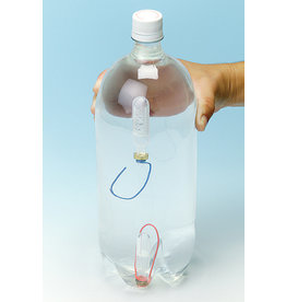 Hook Cartesian Diver