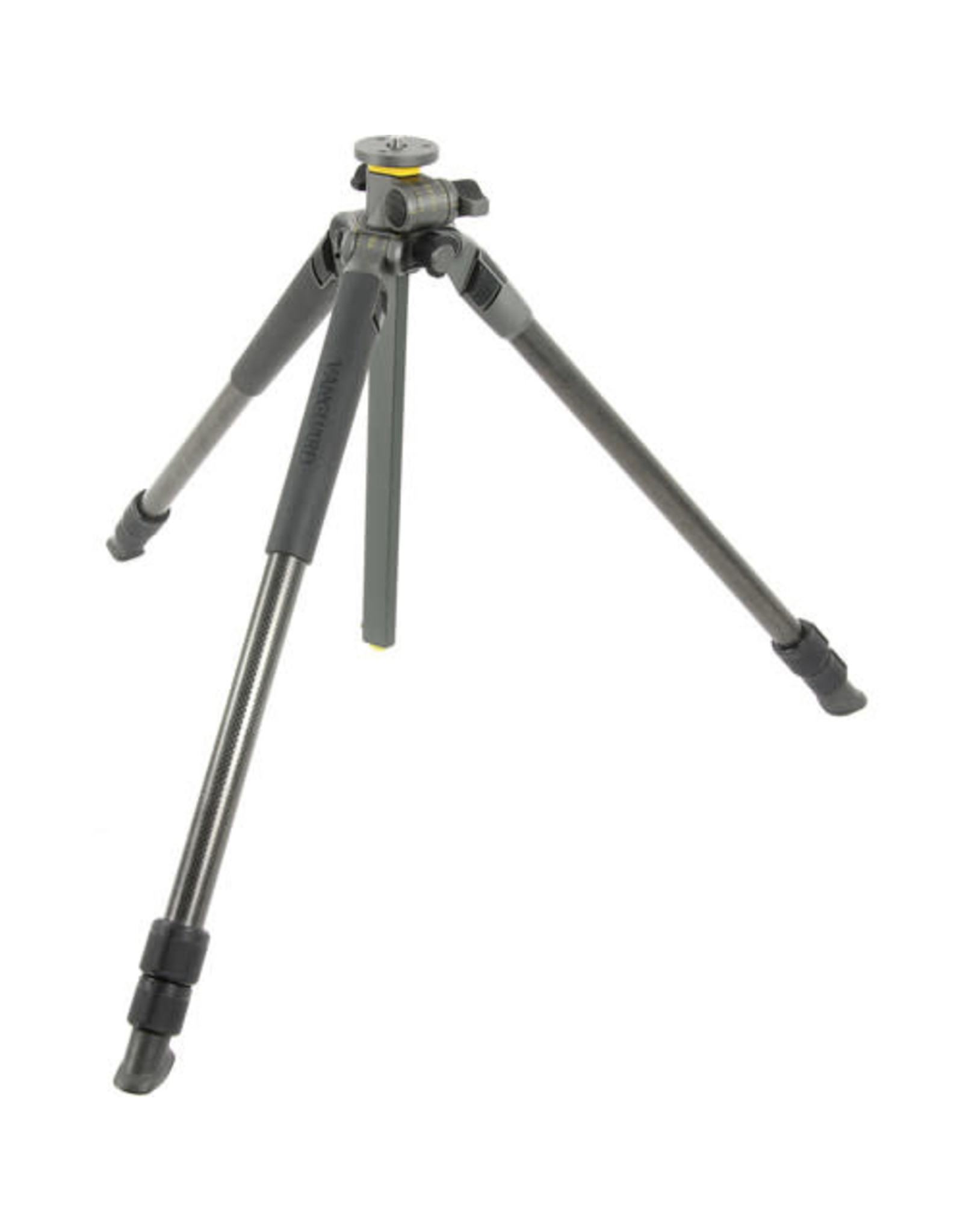 Vanguard Vanguard Alta Pro 2+ 263CT Carbon-Fiber Tripod