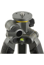 Vanguard Vanguard Alta Pro 2+ 263CT Carbon-Fiber Tripod