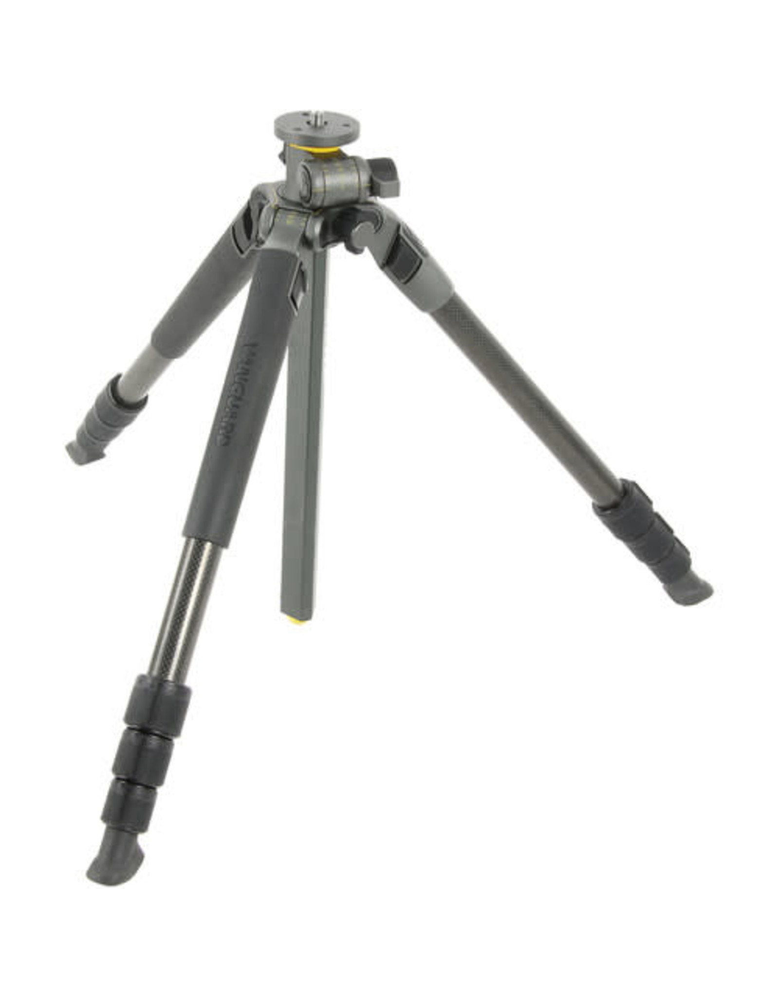 Vanguard Vanguard Alta Pro 2+ 264CT Carbon-Fiber Tripod