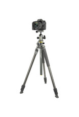 Vanguard Vanguard Alta Pro 2+ 263CB 100 Carbon Fiber Tripod with Ball head