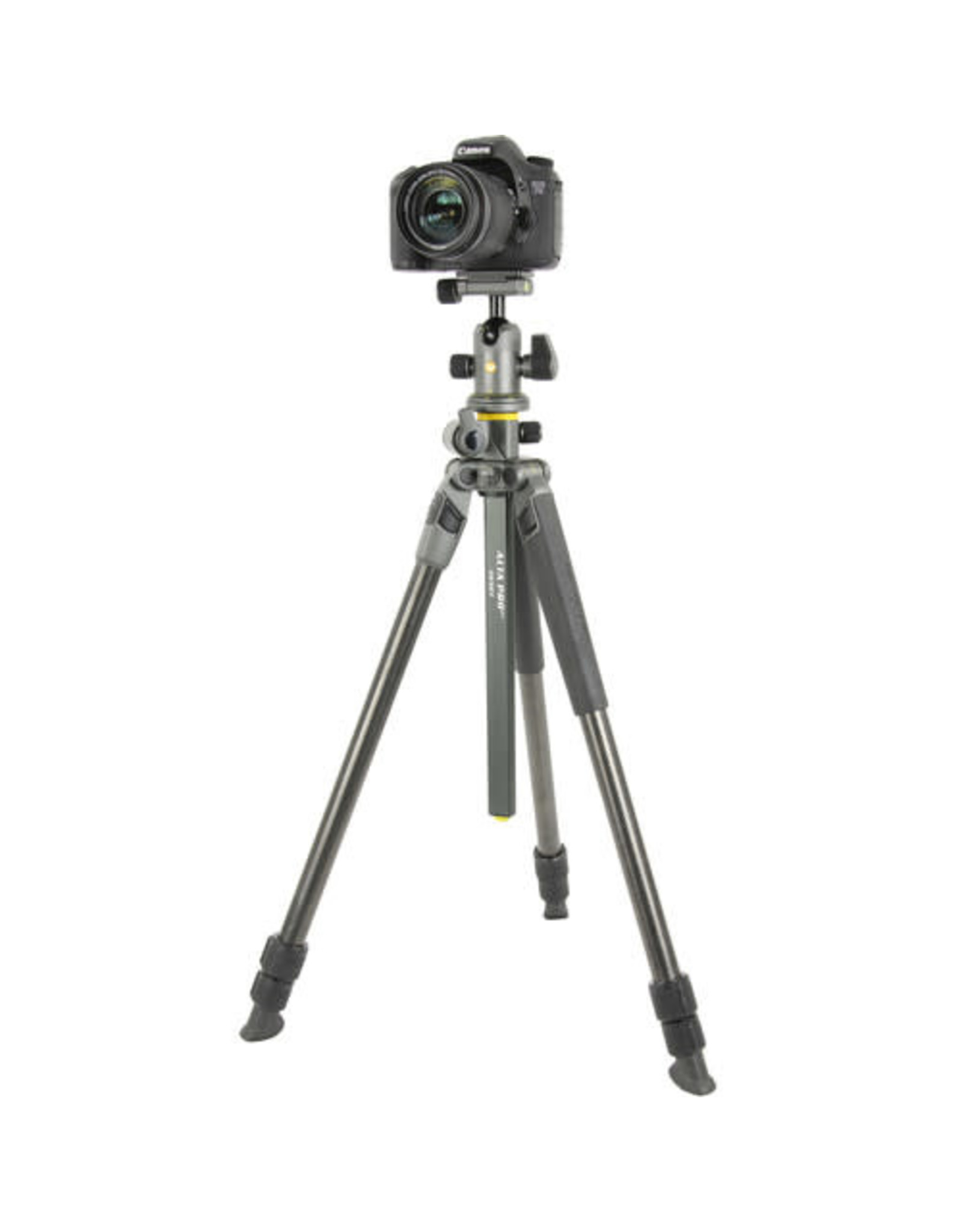 Vanguard Vanguard Alta Pro 2+ 263CB 100 Carbon Fiber Tripod with Ball head