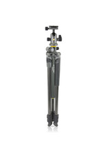 Vanguard Vanguard Alta Pro 2+ 263CB 100 Carbon Fiber Tripod with Ball head
