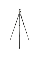 Vanguard Vanguard Alta Pro 2+ 263CB 100 Carbon Fiber Tripod with Ball head