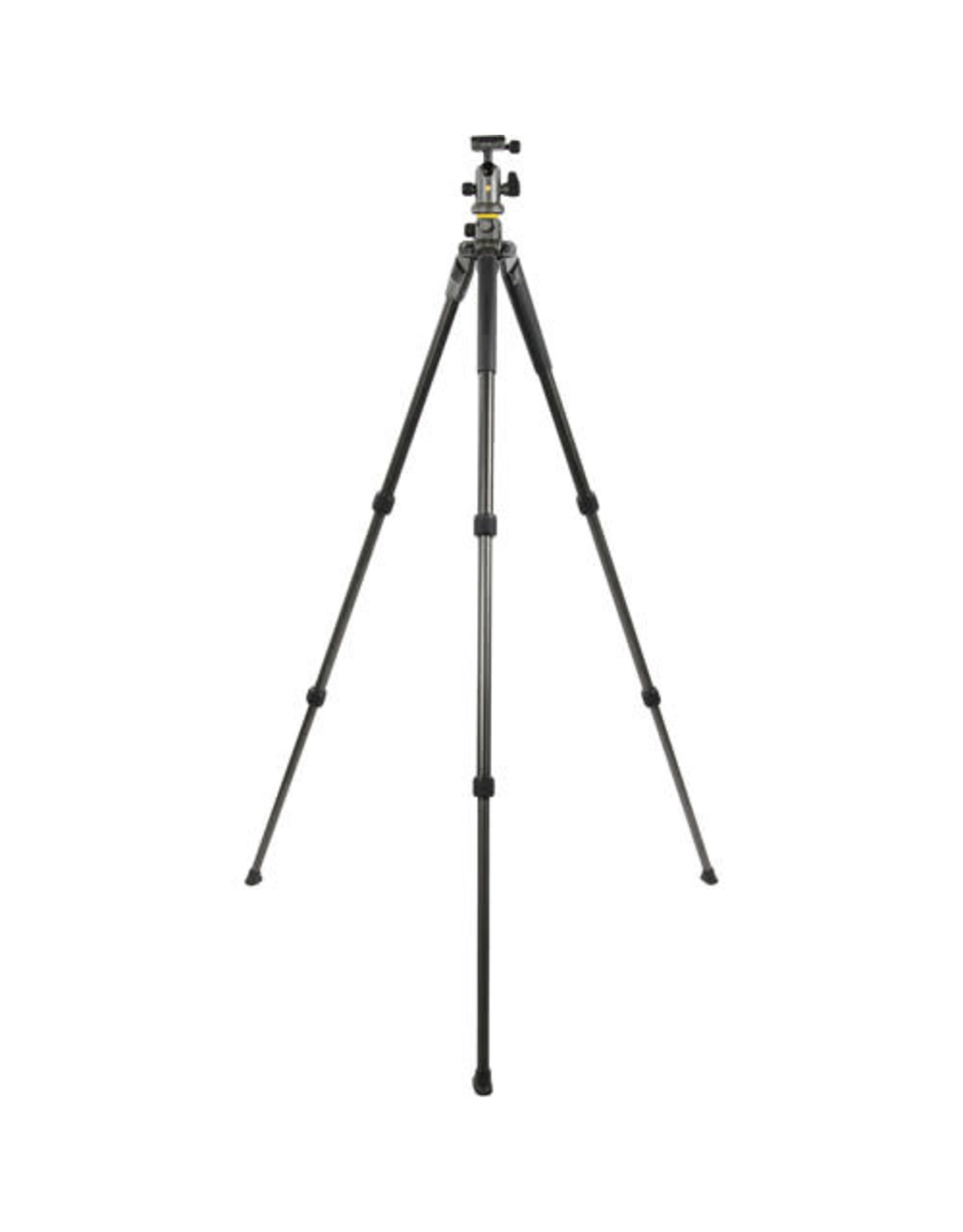 Vanguard Vanguard Alta Pro 2+ 263CB 100 Carbon Fiber Tripod with Ball head